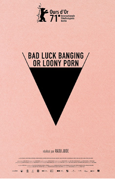 Bad Luck Banging or Loony Porn, affiche