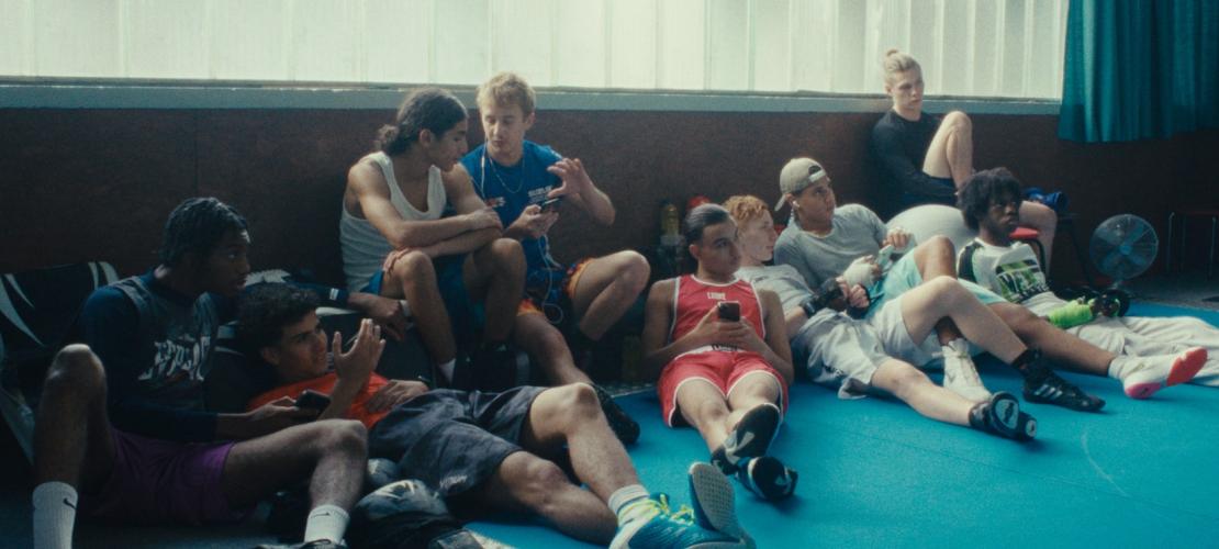 Image La danse des Renards